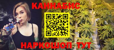 индика Лесосибирск