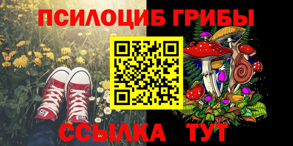 Псилоцибиновые грибы мицелий Иваново