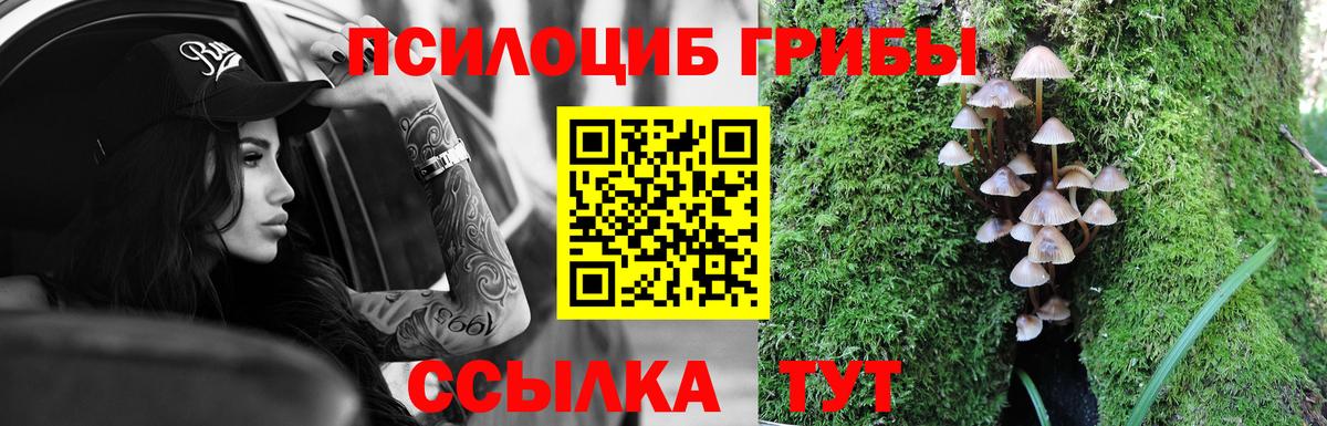 Галлюциногенные грибы Cubensis  Псилоцибиновые грибы ЛСД  Иваново  Вход с VPN 